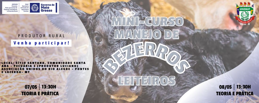 Manejo de bezerros leiteiros neonatos