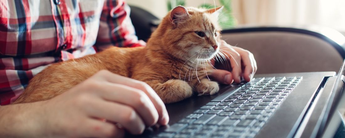 Home Office: prós e contras