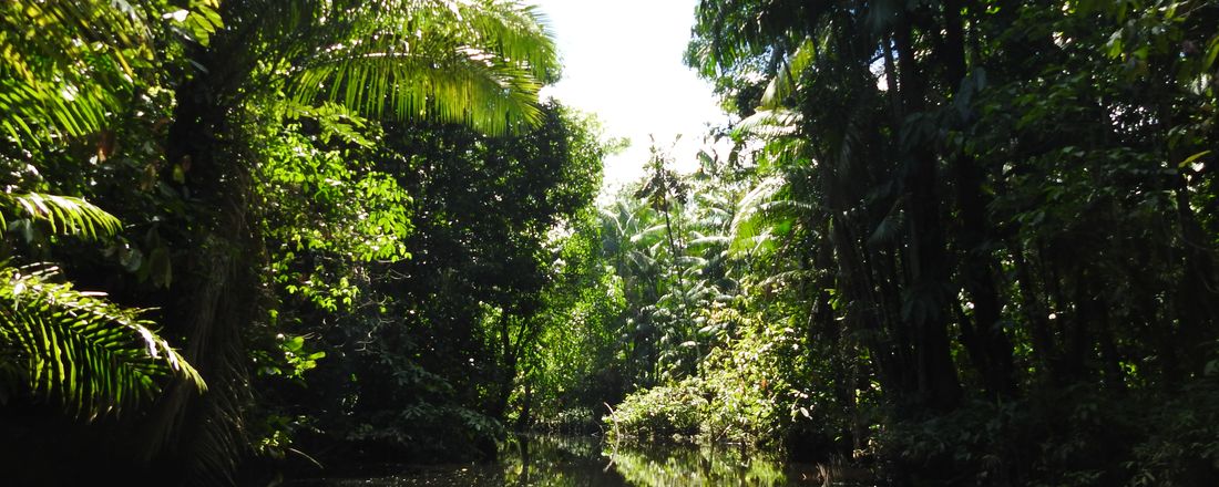 Formação de Agentes Municipais de Inovação para as Regiões de Integração do Estado do Pará - Programa de Capacitação Territórios de Inovação, Sustentabilidade e Desenvolvimento