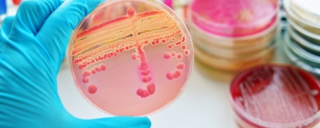 I Mostra de Microbiologia: infecções sexualmente transmissíveis
