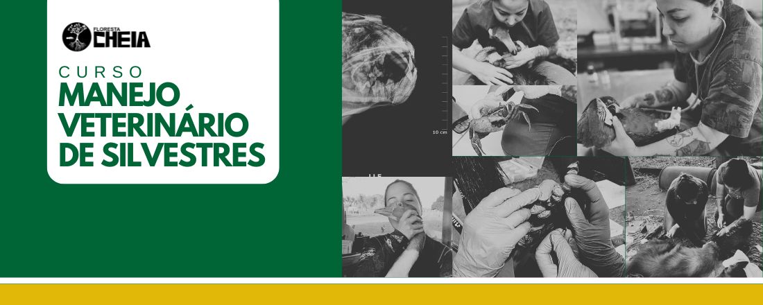 Curso Manejo Veterinário de Silvestres