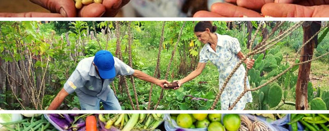 SEMEANDO A AGROECOLOGIA PARA PENSAR A CONVIVÊNCIA COM O SEMIÁRIDO