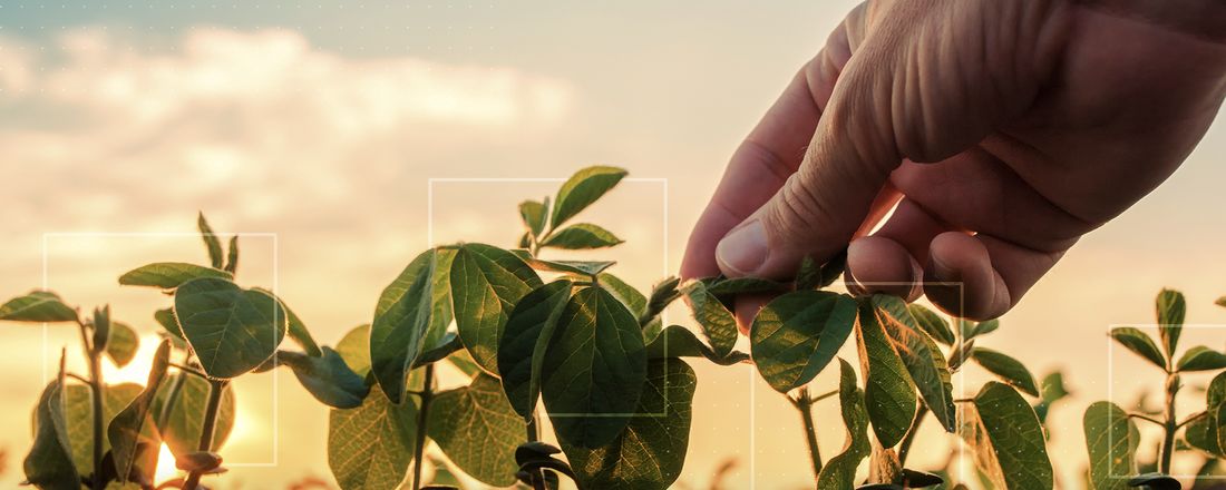 Mês do Conhecimento AGRO