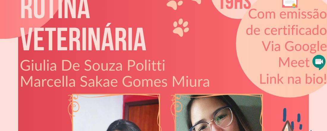 Os Desafios da Parvovirose na Rotina Veterinária