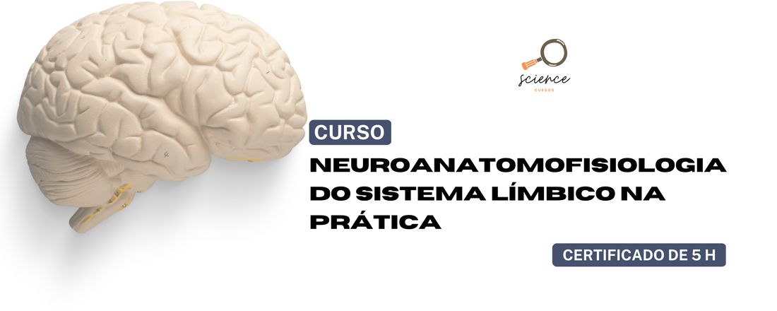 Neuroanatomofisiologia do Sistema Límbico na Prática