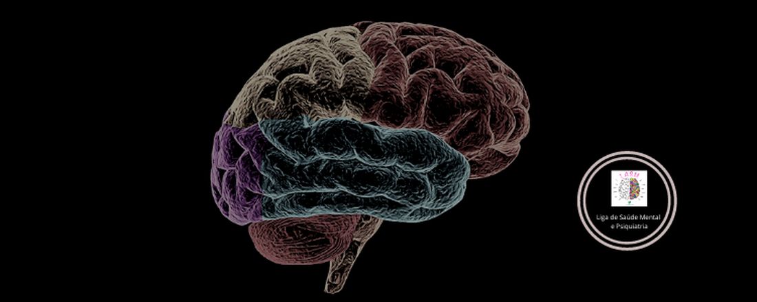 Emergências Psiquiátricas: abordagens para o médico generalista