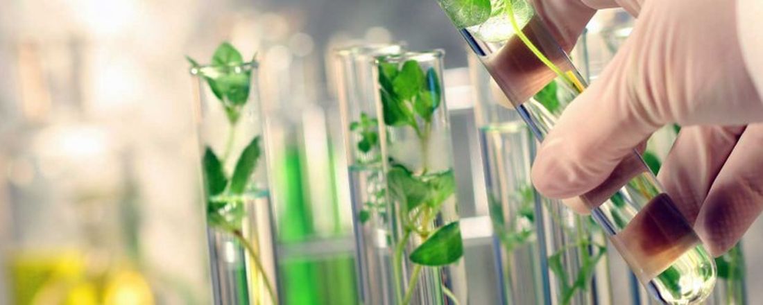 Curso de Micropropagação de Plantas