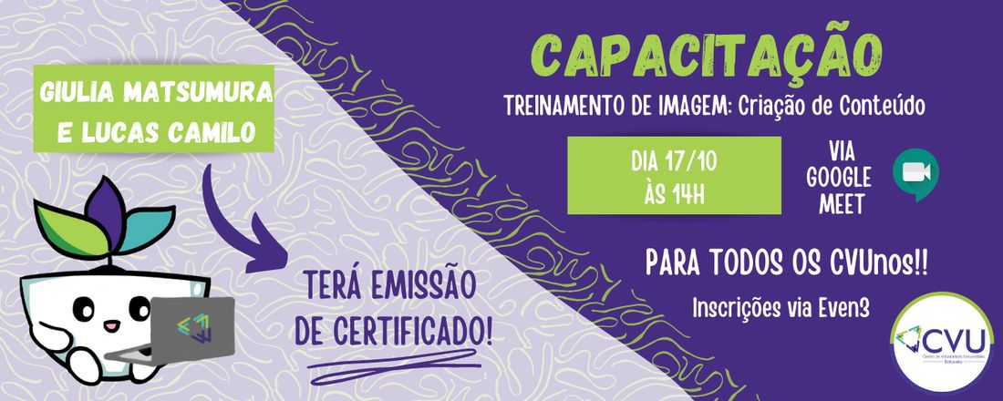 Capacitação sobre Treinamento de Imagem