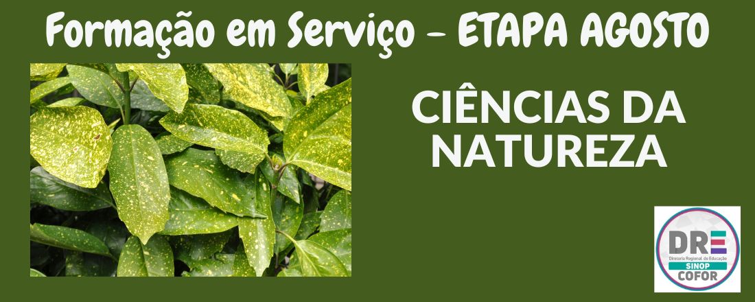 DRE-SINOP - FORMAÇÃO EM SERVIÇO - CIÊNCIAS DA NATUREZA - ETAPA AGOSTO