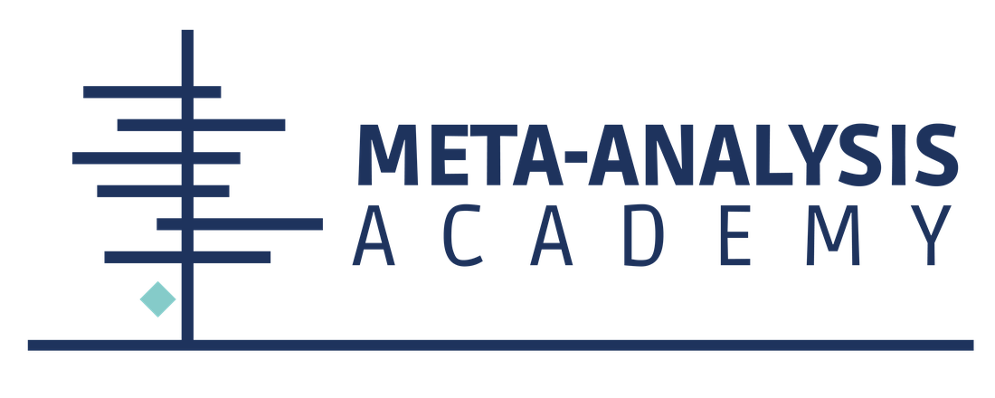 Certificate of Participation - III Meta-Analysis Academy