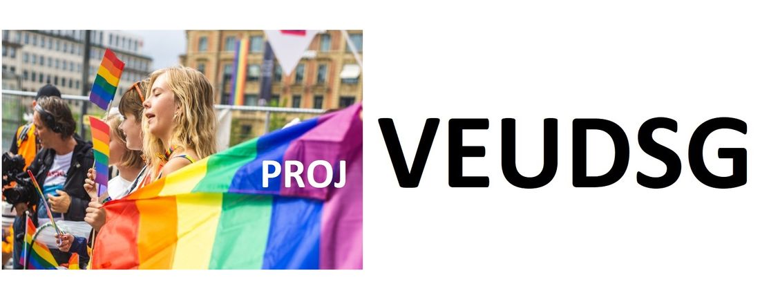 PROJETO VEUDSG - PRIMEIRA APRESENTAÇÃO