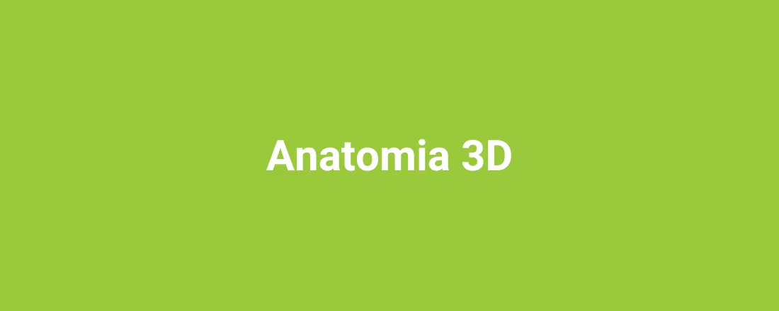 Anatomia 3D