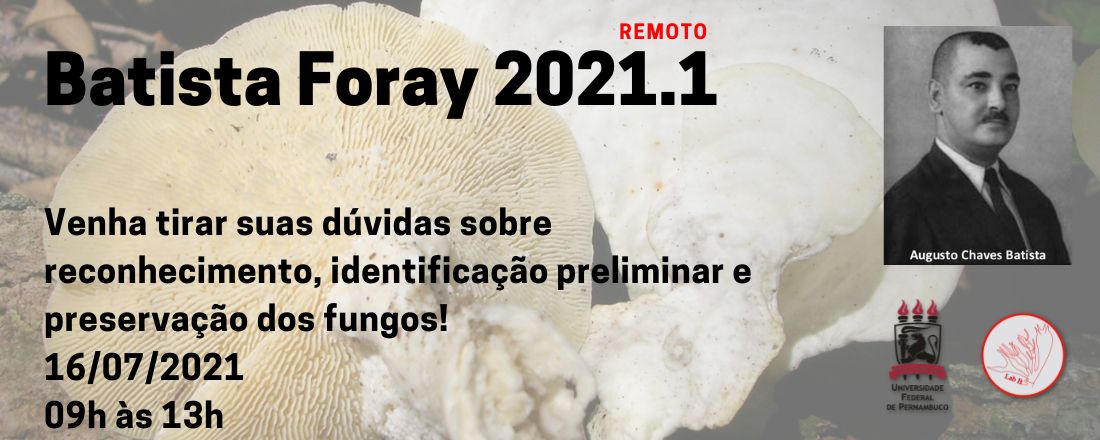 Batista Foray 2021.1