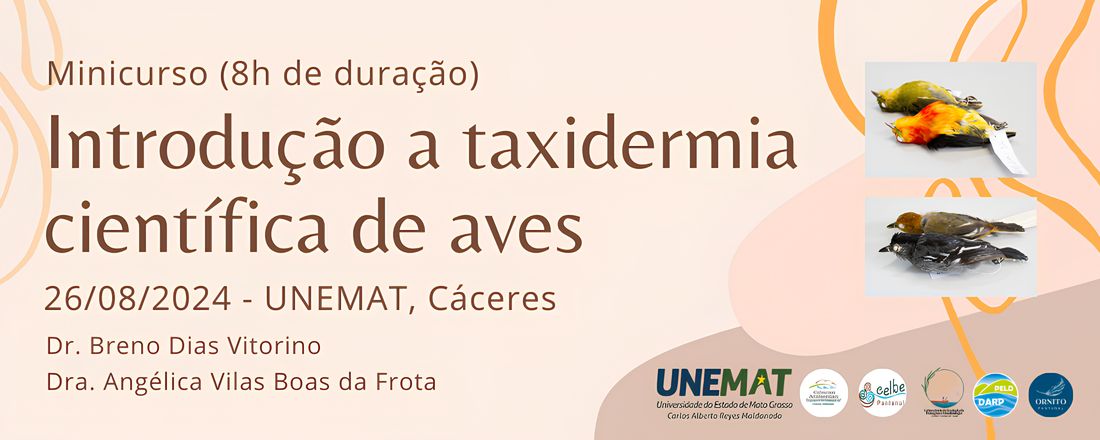 Introdução a taxidermia científica de aves