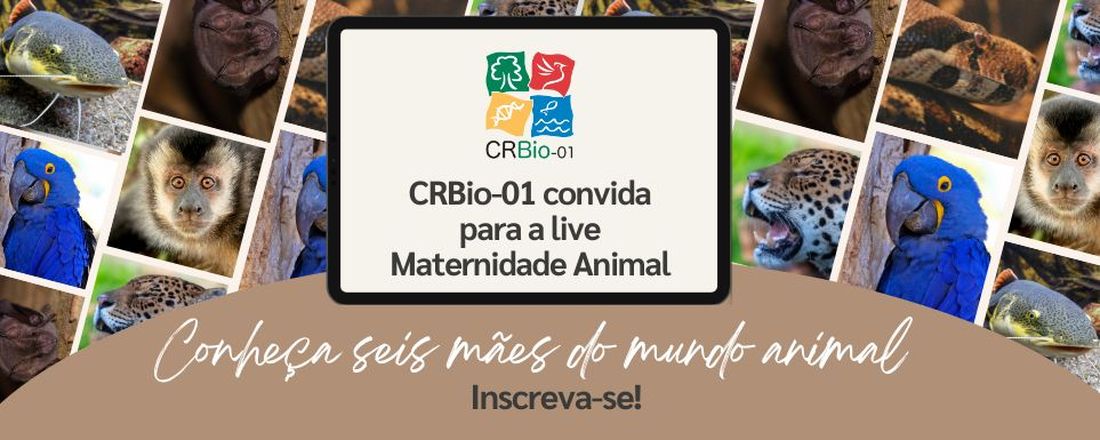 Dia das Mães Animal