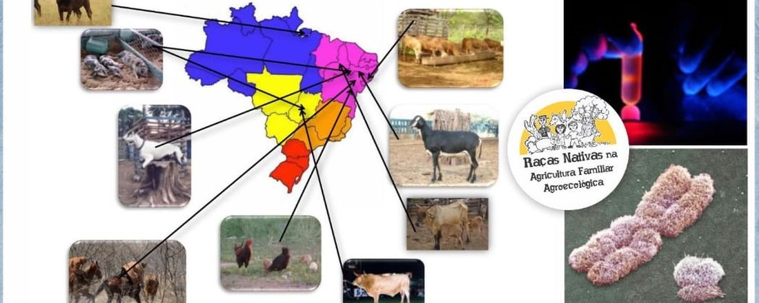 Caracterização genética como ferramenta para a conservação de recursos genéticos animais