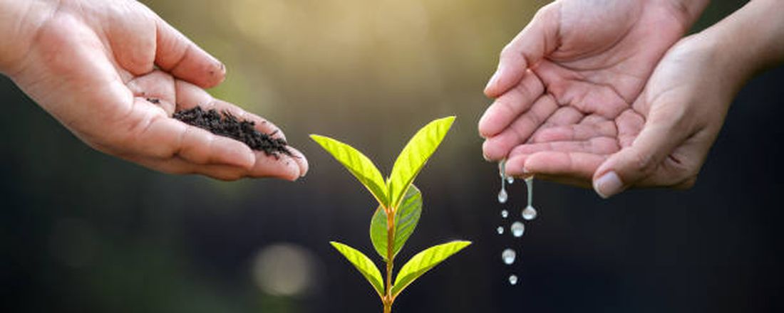 WEBINAR: Agricultura Irrigada no Brasil: O que se vê e o que não se vê