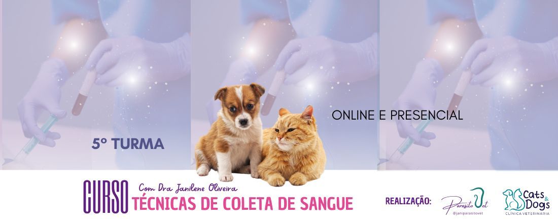 Mini Curso: Técnicas de colheita de sangue em cães e gatos