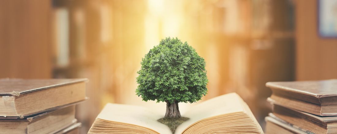 E-book Meio Ambiente e Sustentabilidade: aspectos teóricos e práticos