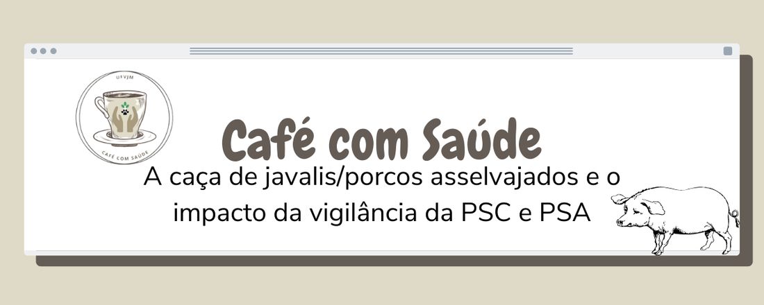 A caça de javalis/porcos asselvajados e o impacto na vigilância da PSC e PSA