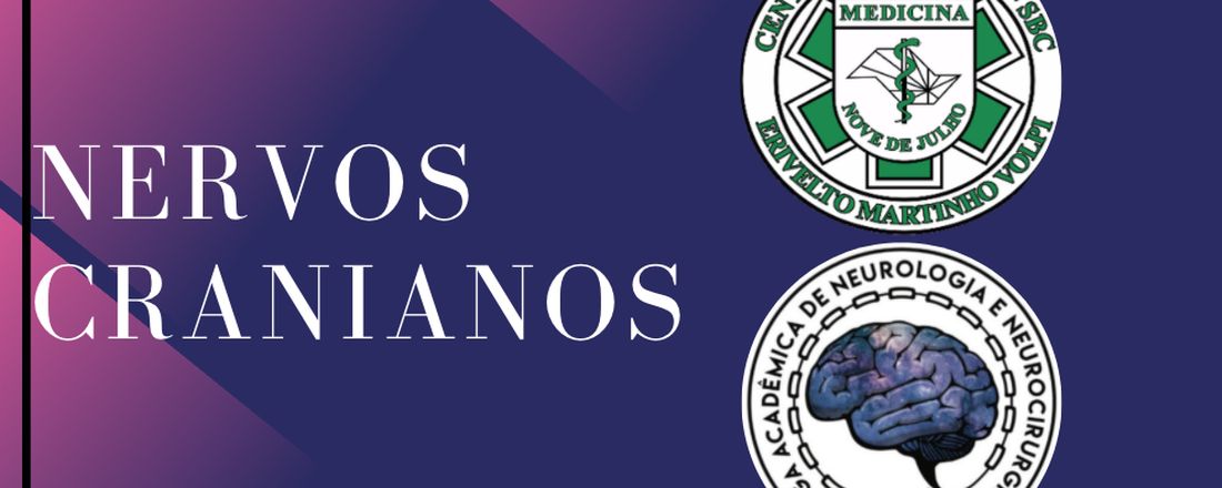 Revisão de Nervos Cranianos