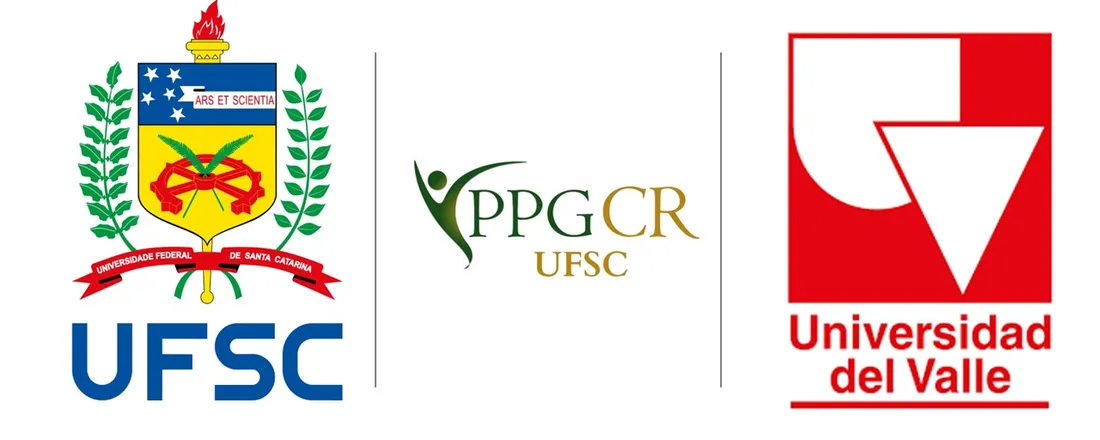 Estratégias para internacionalização: relato de experiências sobre o convênio entre a UFSC (Brasil) e Univalle (Colômbia)