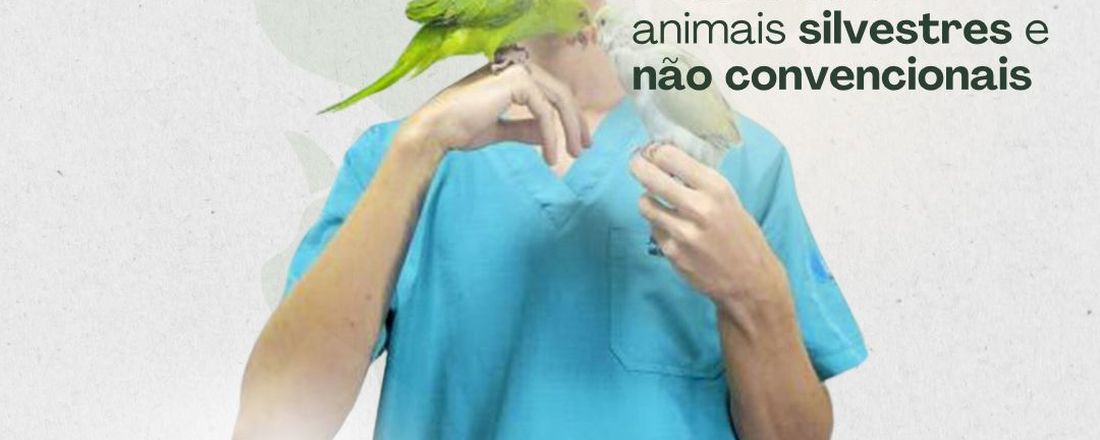 PALESTRA: Anestesia de animais selvagens e pets não convencionais