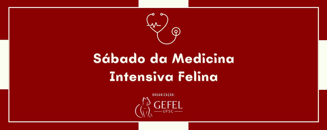 Sábado da Medicina Intensiva Felina