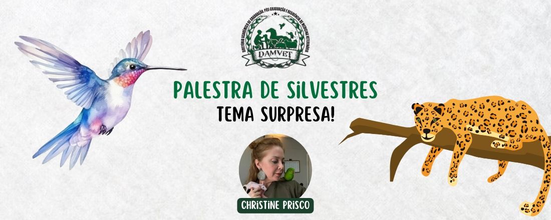 Palestra de Silvestre: Tema Surpresa