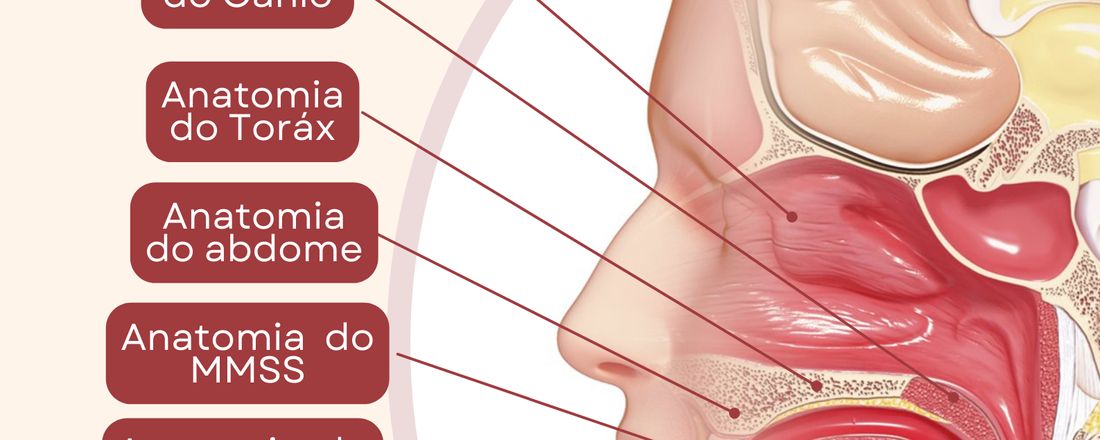 Curso de Qualificação em Imaginologia com ênfase em Anatomia  e Patologia humana