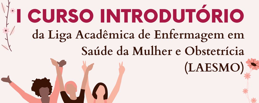 I Curso Introdutório LAESMO