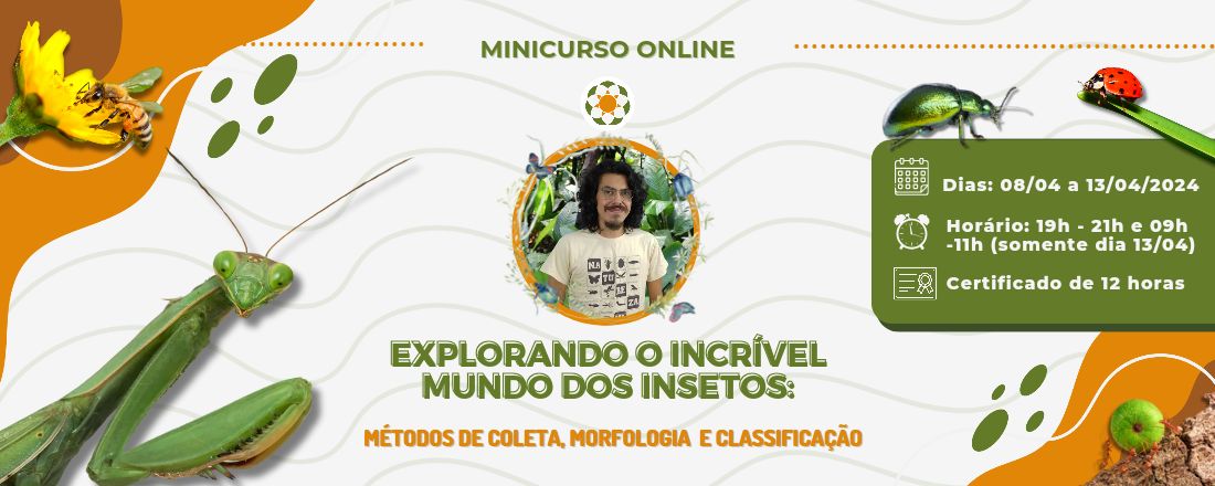 Explorando o Incrível Mundo dos Insetos: Métodos de Coleta, Morfologia e Classificação