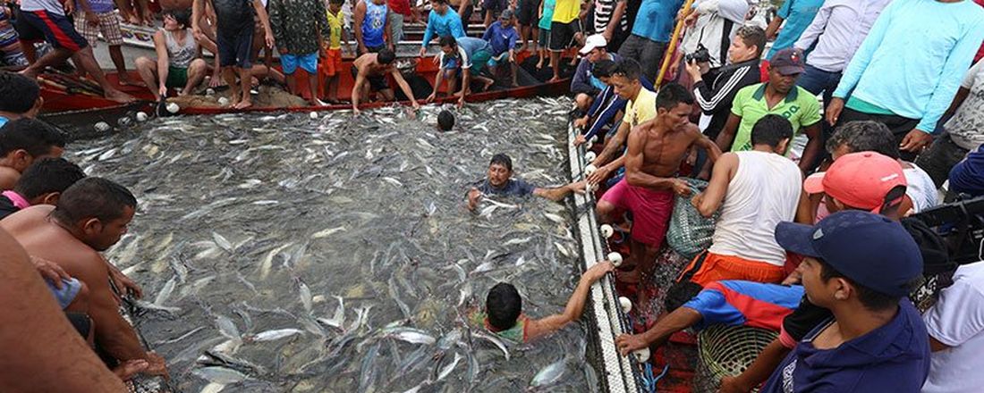 Palestra "Particularidades da pesca e da aquicultura no município de Cametá, Baixo Tocantins, estado do Pará"