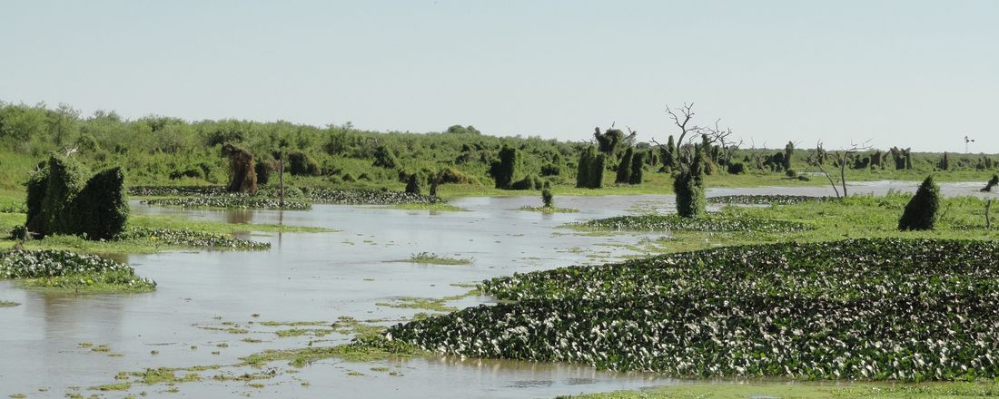 IV Jornadas Paraguayas de Botánica